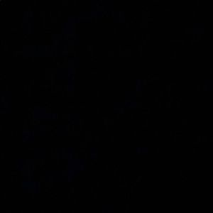 Meet your Posher, Sally